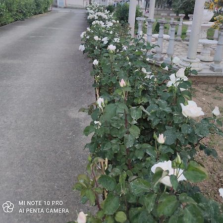 Giba La Casa Delle Rose 2 빌라 외부 사진