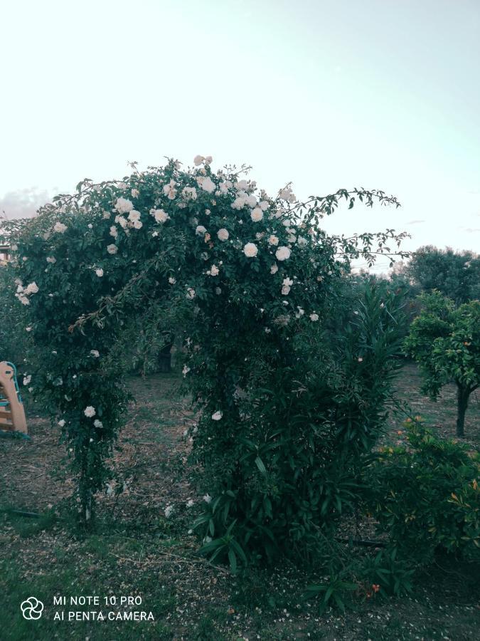 Giba La Casa Delle Rose 2 빌라 외부 사진