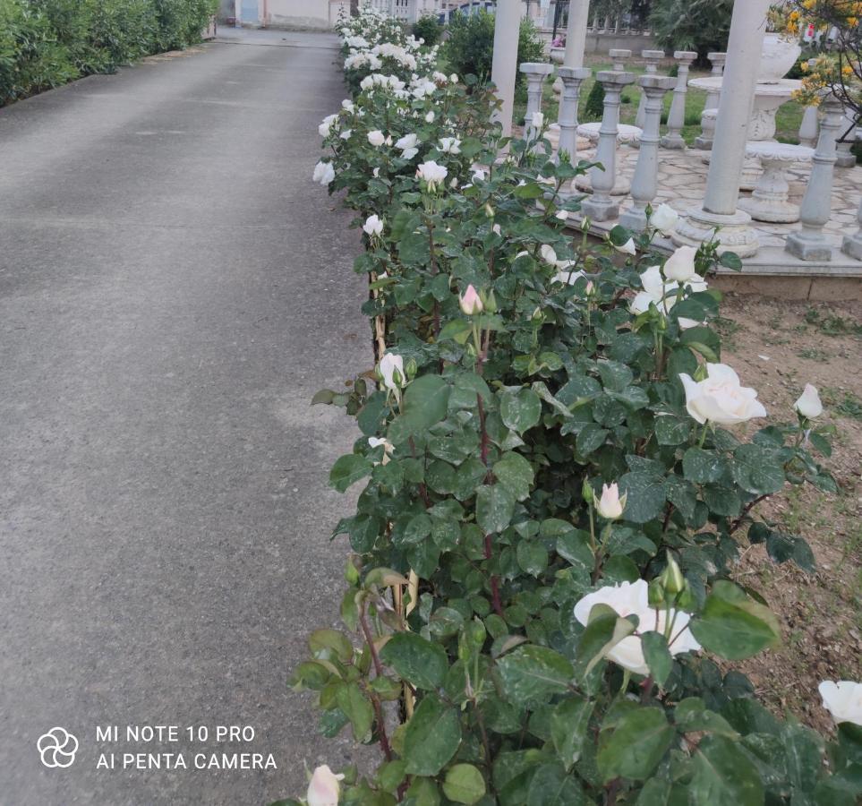Giba La Casa Delle Rose 2 빌라 외부 사진